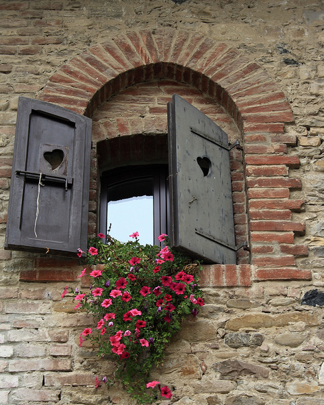 windows and flowers black and pink