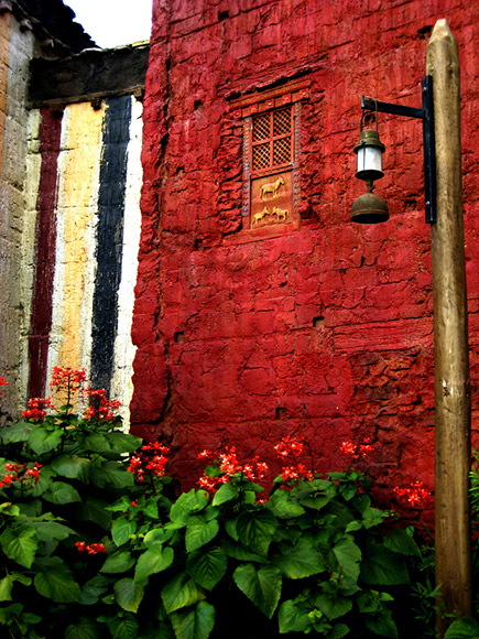 windows and flowers orange and red