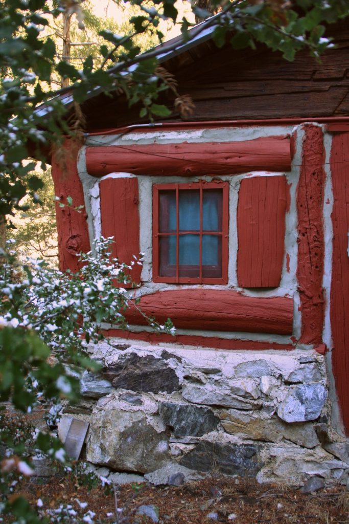 windows-and-flowers-red