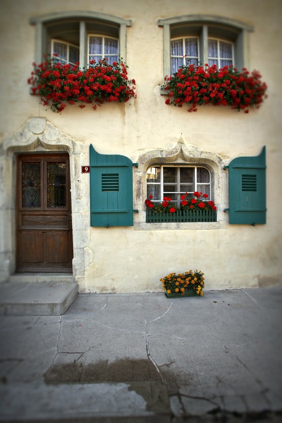 windows and flowers red and turquoise